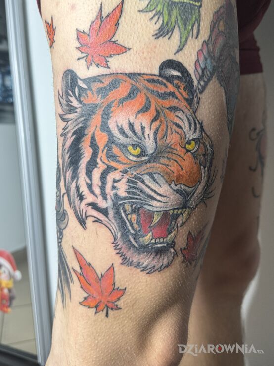 Tatuaż Kolorowy Tygrys w motywie kolorowe i stylu japońskie / irezumi na udzie