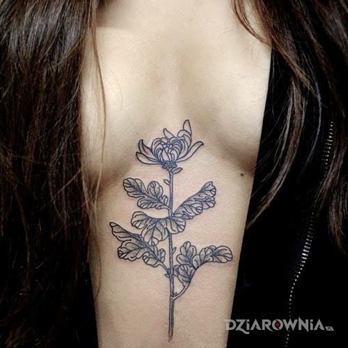 Tatuaż kwiat w motywie seksowne na brzuchu