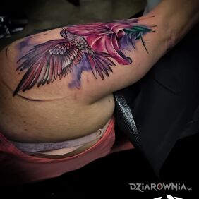 Tatuaż Kolor tattoo na barku motyw: kwiaty styl: graficzne / ilustracyjne