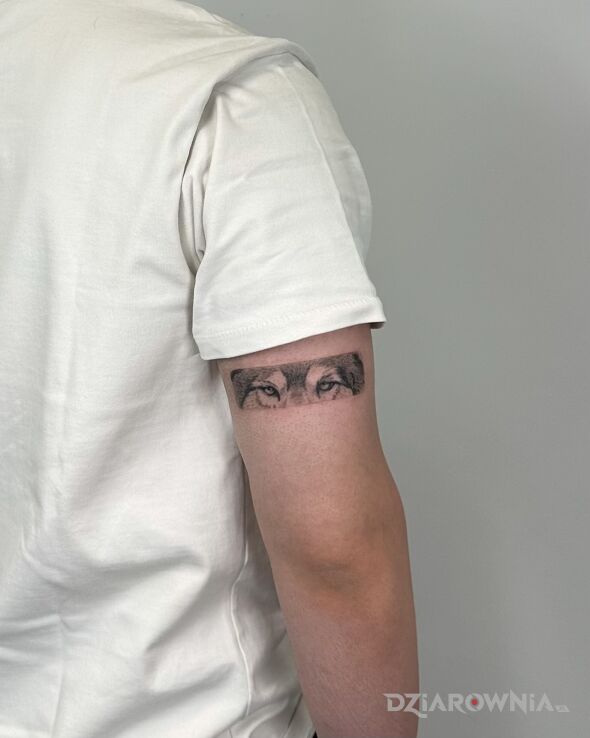 Tatuaż Realistic wolf eyes tattooed as a subtle arm band. w motywie zwierzęta i stylu graficzne / ilustracyjne na ramieniu