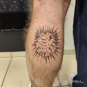 Tatuaż Rybka na łydce motyw: czarno-szare styl: graficzne / ilustracyjne