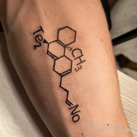 Tattoo Chemical element TE CH NO On the arm style: minimalistic