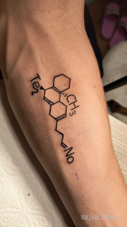 Tatuaż Pierwiastek chemiczny TE CH NO w motywie napisy i stylu kontury / linework na przedramieniu