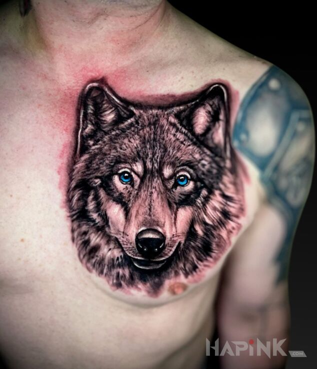 Tattoo Wolf in black and gray motif and realistic style on the chest