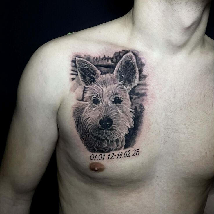 Tattoo Dog Porter with Dates in black and gray motif and realistic style on the chest