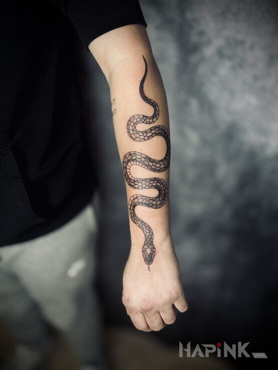 Tattoo Snake in animals motif and graphic / illustrative style On the arm