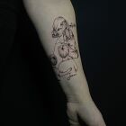 Family outline names