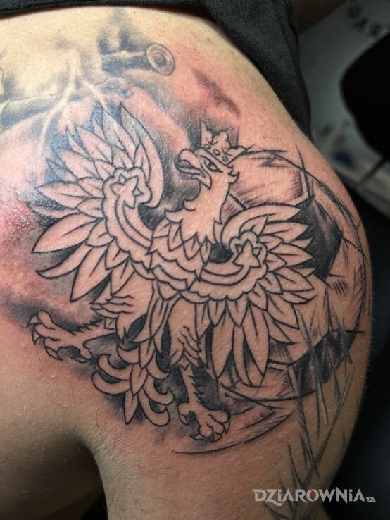Tatuaż Polski orzeł w koronie w motywie zwierzęta i stylu kontury / linework na barku