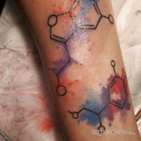 Tatuaż Serotonina na przedramieniu motyw: kolorowe