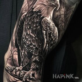Tattoo Eagle on the upper arm motif: animals style: realistic