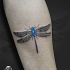 Delicate dragonfly tattoo with blue accent