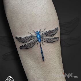 Tattoo Delicate dragonfly tattoo with blue accent On the arm motif: colorful style: realistic