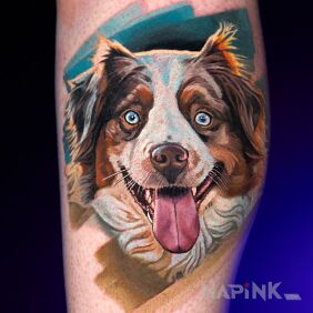 Tattoo Portrait of an Australian Shepherd on the calf motif: colorful style: realistic