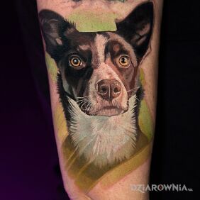 Tatuaż Portret psa na ręce motyw: zwierzęta styl: realistyczne