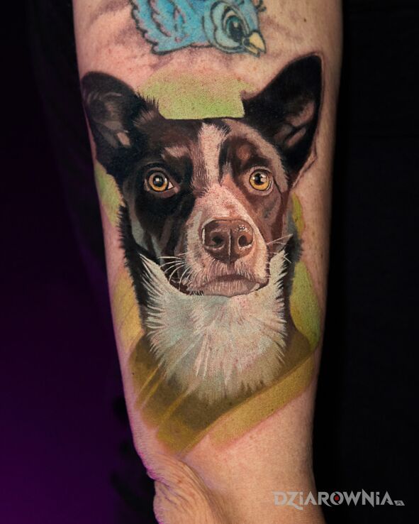 Tatuaż Portret psa w motywie kolorowe i stylu realistyczne na ręce