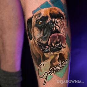 Tatuaż Portret psa 3 na łydce motyw: kolorowe styl: realistyczne