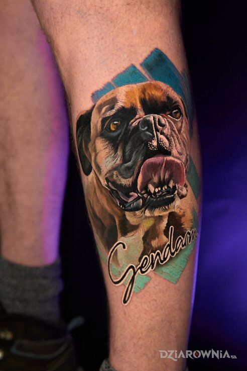 Tatuaż Portret psa 3 w motywie zwierzęta i stylu realistyczne na łydce