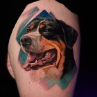 Dog portrait 4