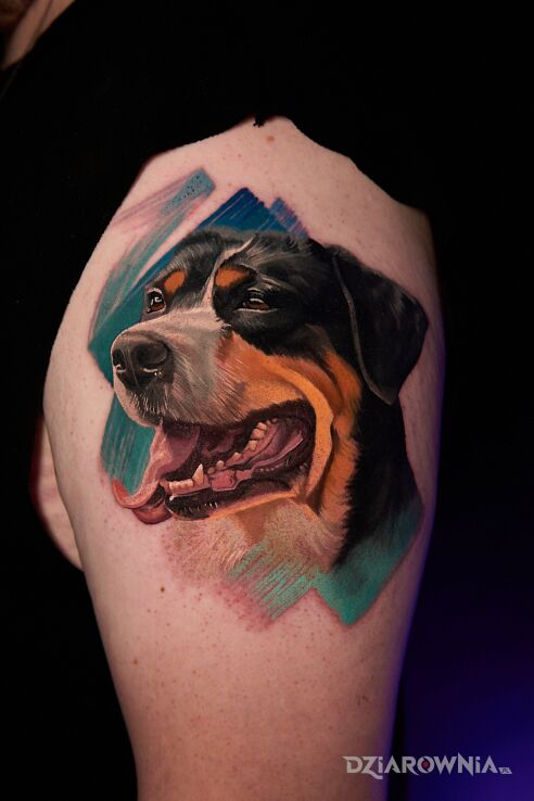 Tatuaż Portret psa 4 w motywie zwierzęta i stylu realistyczne na ręce