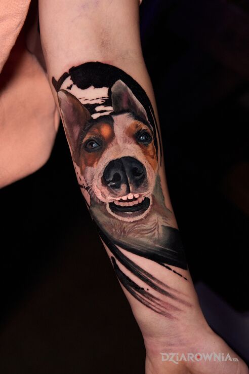 Tatuaż Portret psa 4 w motywie kolorowe i stylu realistyczne na przedramieniu