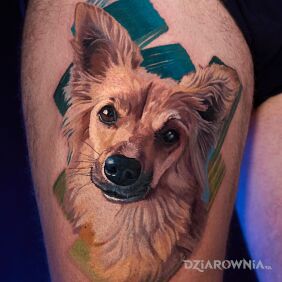 Tatuaż Portret psa 9 na udzie motyw: zwierzęta styl: realistyczne