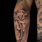 Koala