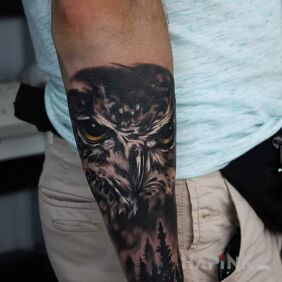 Tattoo Owl on the forearm motif: animals