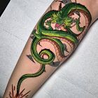 Shenron Dragon Ball Anime