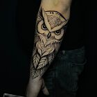 Wise Owl Head