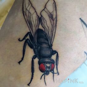 Tattoo Fly on the leg motif: insects style: realistic