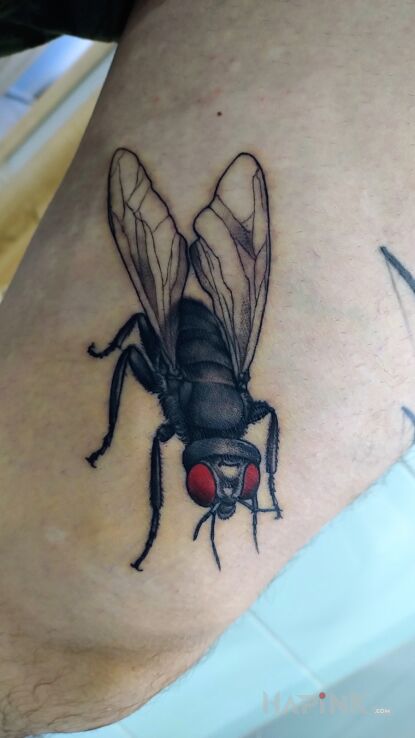 Tattoo Fly in insects motif and realistic style on the leg