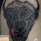 Bison - Cover Up of an Old Tattoo
