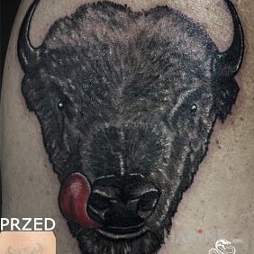 Tattoo Bison - Cover Up of an Old Tattoo On the arm motif: cover-up style: realistic