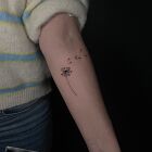Delicate dandelion