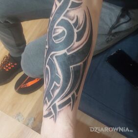Tatuaż Cover tribal na przedramieniu motyw: czarno-szare styl: blackwork / blackout