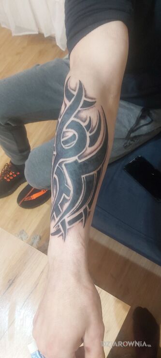 Tatuaż Cover tribal w motywie czarno-szare i stylu tribale na przedramieniu