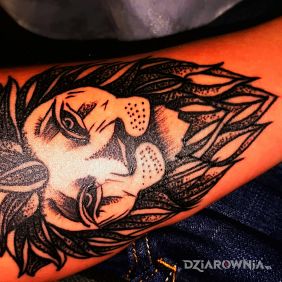 Tatuaż Lew (Lion) na przedramieniu motyw: zwierzęta