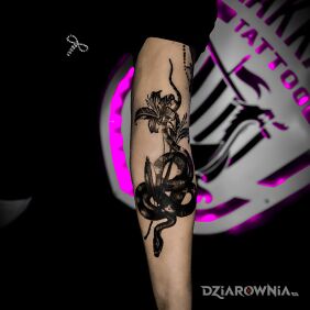 Tatuaż Dark Snake na przedramieniu motyw: kwiaty styl: blackwork / blackout