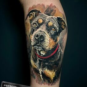 Tattoo Color portrait of a dog on the leg motif: animals style: realistic