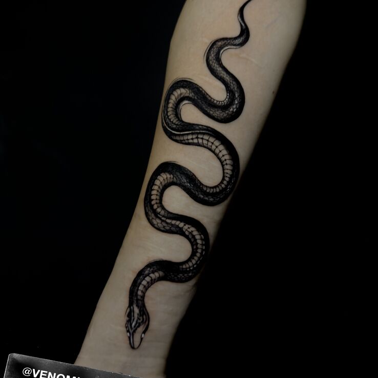 Tattoo Wąż in black and gray motif and graphic / illustrative style On the arm