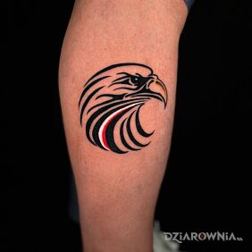 Tatuaż Głowa orła z patriotycznymi barwami na łydce motyw: kolorowe styl: graficzne / ilustracyjne