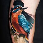 Azure Kingfisher