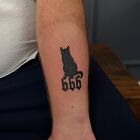 Black cat 666
