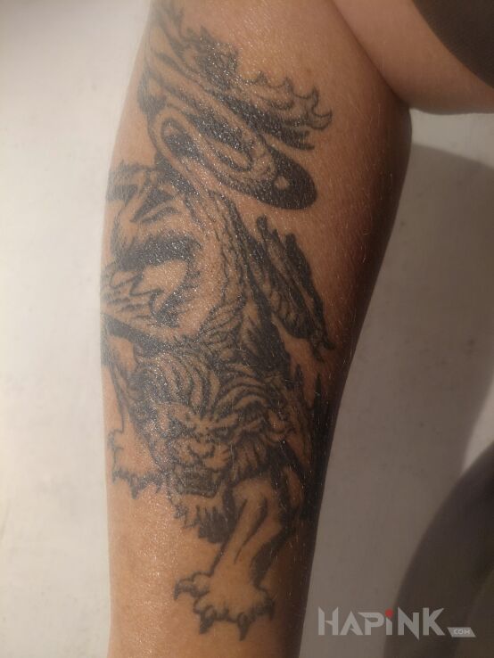 Tattoo Chimera designed by Jaroslaw Jurga in black and gray motif and engravings / gravure style on the forearm