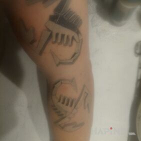 Tattoo Dwa skorpiony on the forearm motif: zodiac signs style: graphic / illustrative
