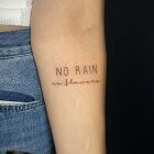 No rain no flowers
