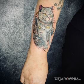 Tatuaż Kot Eljot na przedramieniu motyw: kolorowe styl: neotradycyjne
