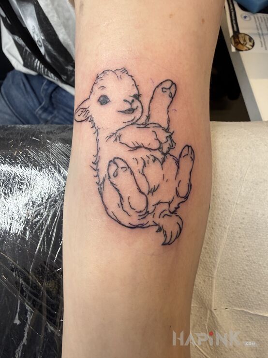 Tattoo Owieczka in animals motif and contour / linework style on the forearm