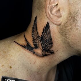 Tattoo Swallow in flight on the neck motif: black and gray style: realistic