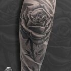 Róża w Black & Grey